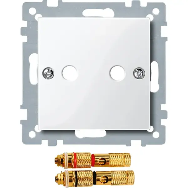 Schneider Electric - 468819 - Central plate with high-end loudspeaker - 1