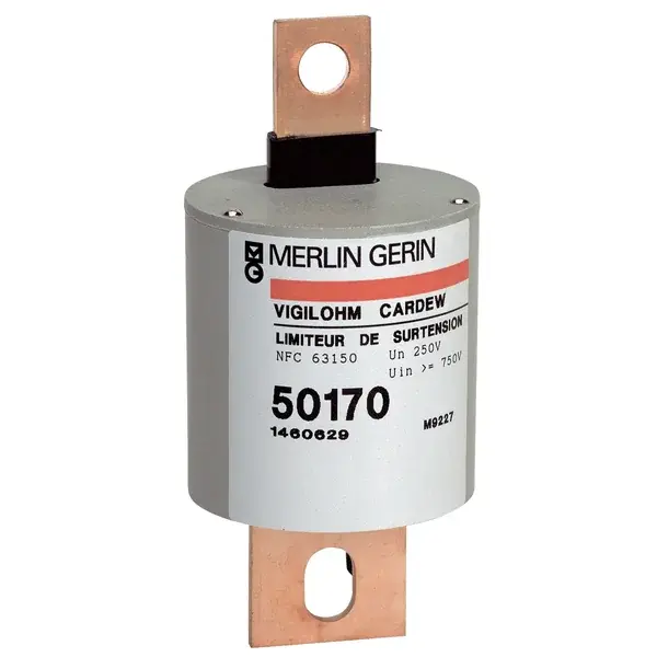 Schneider Electric - 50172 - SURGE LIMITER CARDEW 660V AC - 1