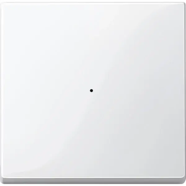 Schneider Electric - 506119 - CONRdPB,1-G,PW,Gl,SyM - 1