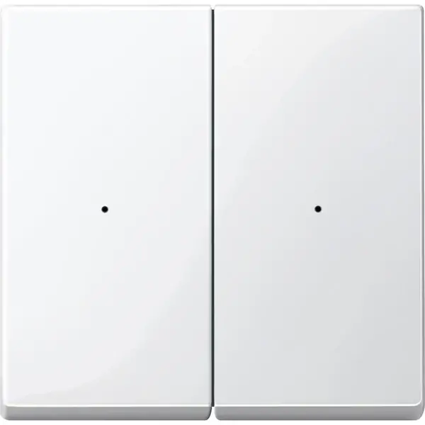 Schneider Electric - 506219 - CONRdPB,2-G,PW,Gl,SyM - 1