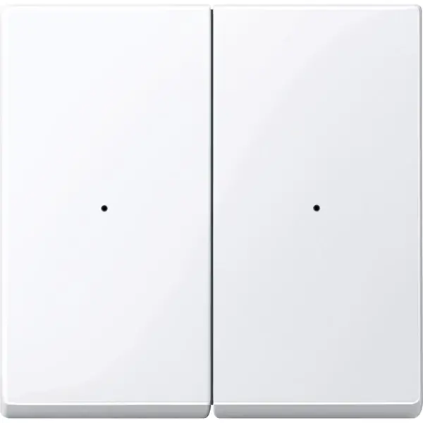Schneider Electric - 506225 - CONRdPB,2-G,AW,Gl,SyM - 1
