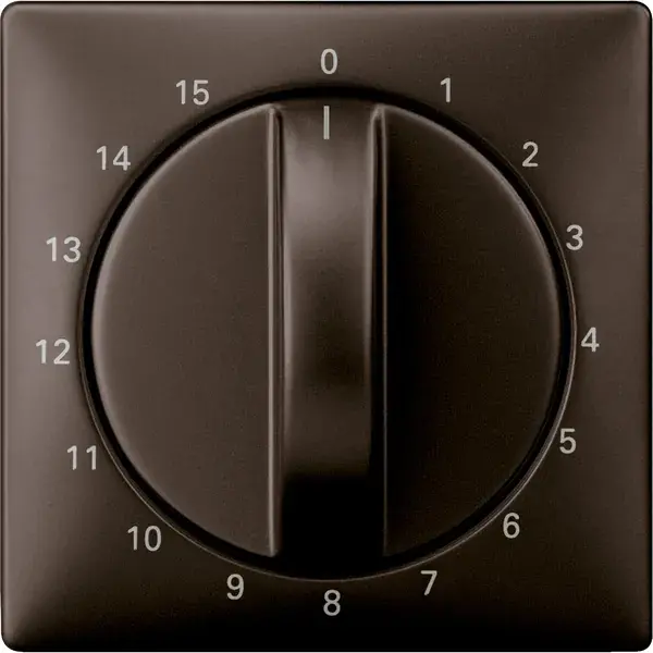 Schneider Electric - 538315 - Central plate for time switch insert, 15 - 1