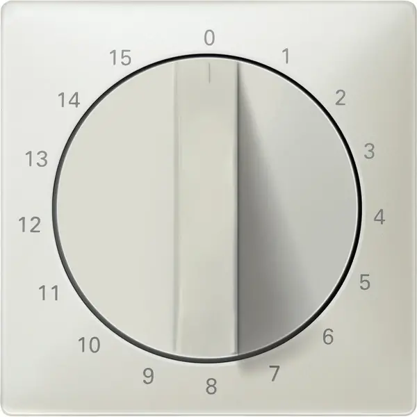 Schneider Electric - 538329 - Central plate for time switch insert, 15 - 1