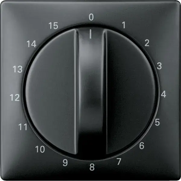 Schneider Electric - 538369 - Central plate for time switch insert, 15 - 1