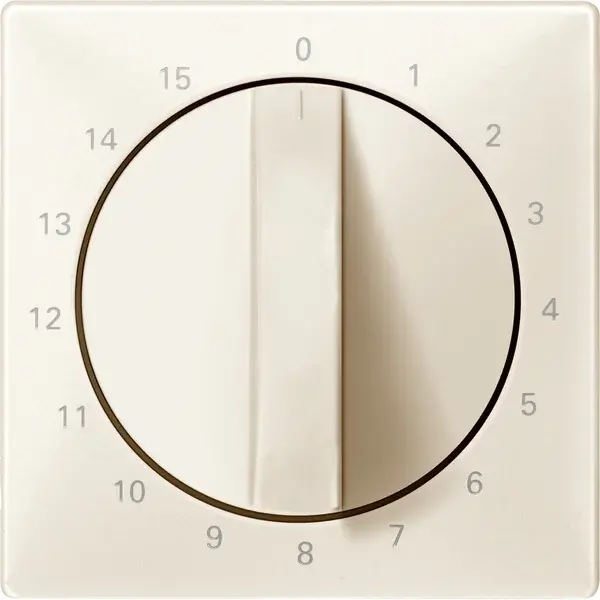 Schneider Electric - 538394 - Central plate for time switch insert, 15 - 1