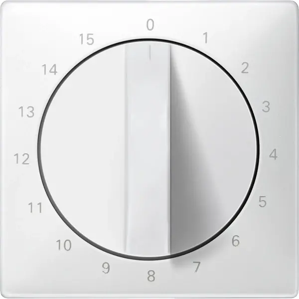 Schneider Electric - 538399 - Central plate for time switch insert, 15 - 1