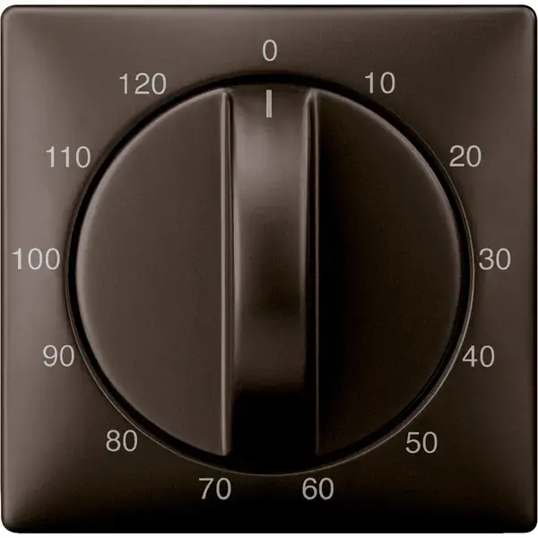 Schneider Electric - 538415 - Central plate for time switch insert, 12 - 1