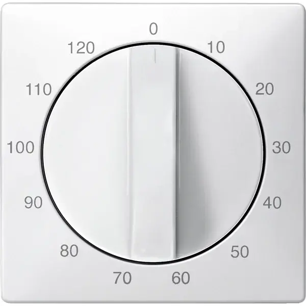 Schneider Electric - 538419 - Central plate for time switch insert, 12 - 1
