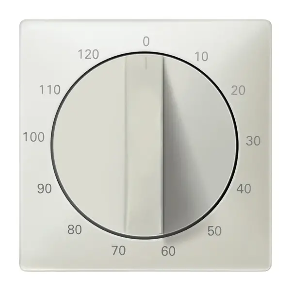 Schneider Electric - 538429 - Central plate for time switch insert, 12 - 1