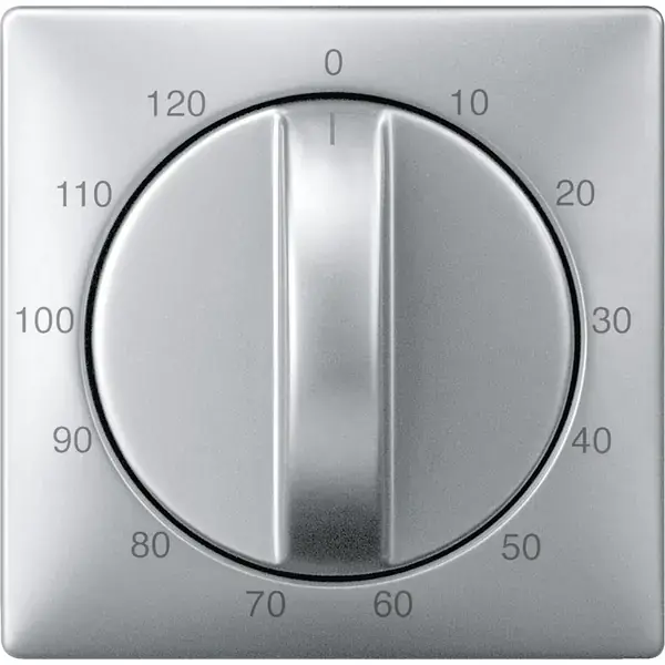 Schneider Electric - 538460 - Central plate for time switch insert, 12 - 1