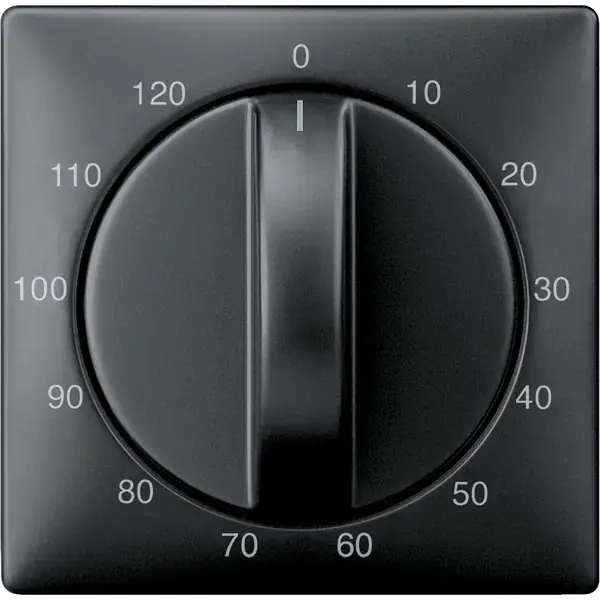 Schneider Electric - 538469 - Central plate for time switch insert, 12 - 1