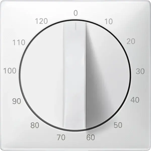 Schneider Electric - 538499 - Central plate for time switch insert, 12 - 1