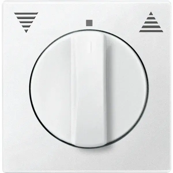 Schneider Electric - 538719 - Central plate for momentary/maintained-c - 1