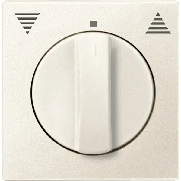 Schneider Electric - 538744 - Central plate for momentary/maintained-c - 1