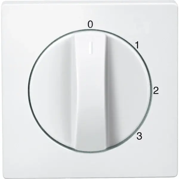 Schneider Electric - 538819 - Central plate for three-step rotary swit - 1