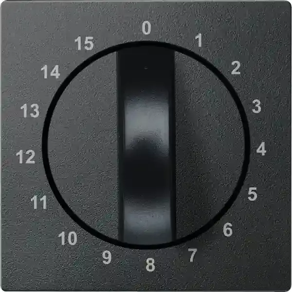 Schneider Electric - 539014 - Central plate for time switch insert, 15 - 1