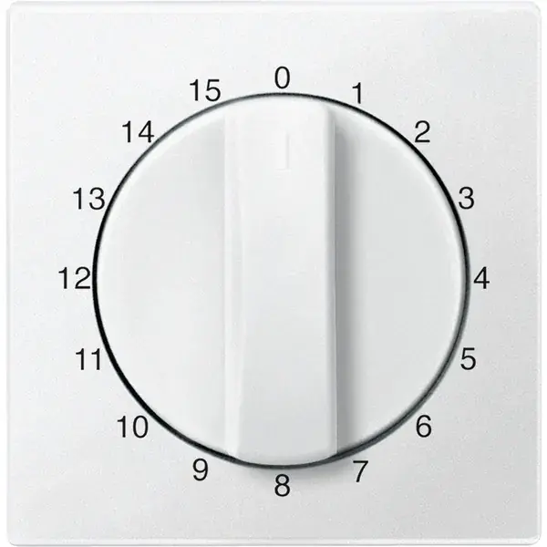Schneider Electric - 539019 - Central plate for time switch insert, 15 - 1