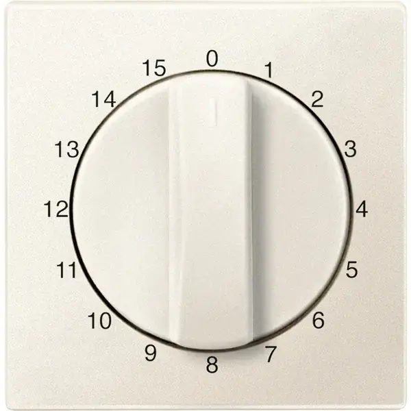 Schneider Electric - 539044 - Central plate for time switch insert, 15 - 1