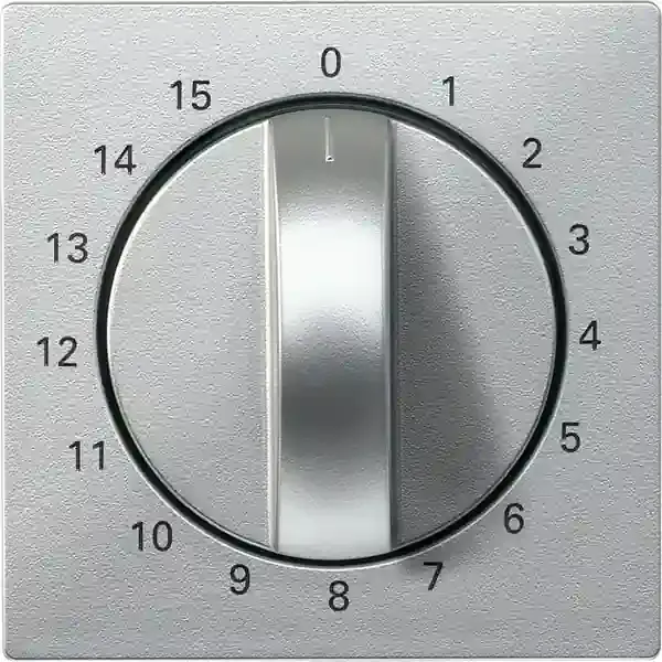 Schneider Electric - 539060 - Central plate for time switch insert, 15 - 1