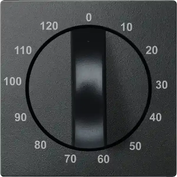 Schneider Electric - 539214 - Central plate for time switch insert, 12 - 1
