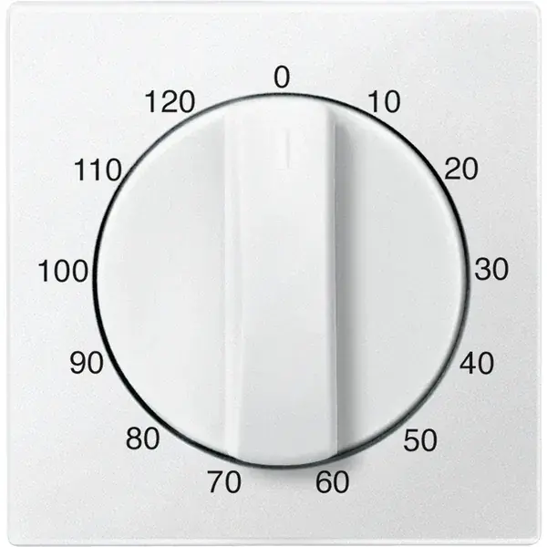Schneider Electric - 539219 - Central plate for time switch insert, 12 - 1