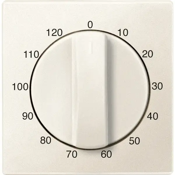 Schneider Electric - 539244 - Central plate for time switch insert, 12 - 1