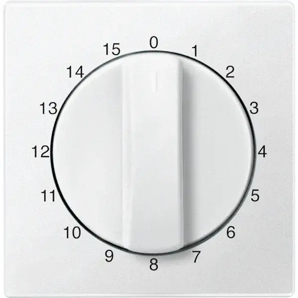 Schneider Electric - 539319 - Central plate for time switch insert, 15 - 1