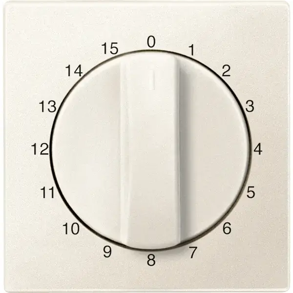 Schneider Electric - 539344 - Central plate for time switch insert, 15 - 1