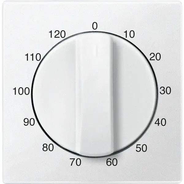 Schneider Electric - 539419 - Central plate for time switch insert, 12 - 1