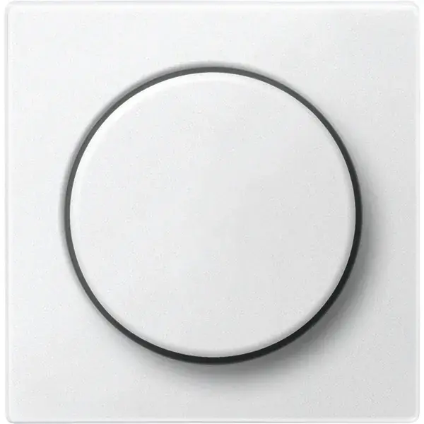 Schneider Electric - 539919 - Central plate for rotary dimmer inserts - 1