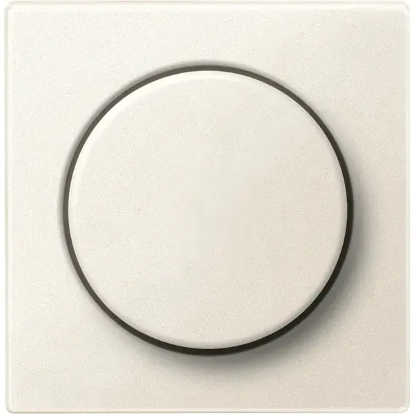 Schneider Electric - 539944 - Central plate for rotary dimmer inserts - 1