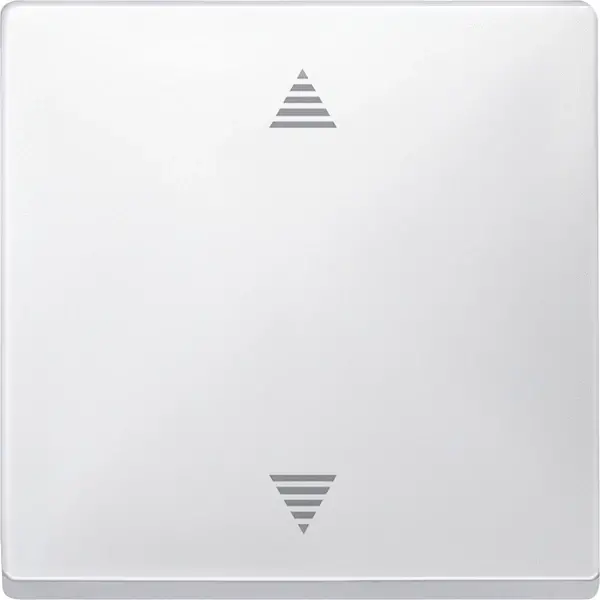 Schneider Electric - 584319 - Blind push-button with memory function a - 1