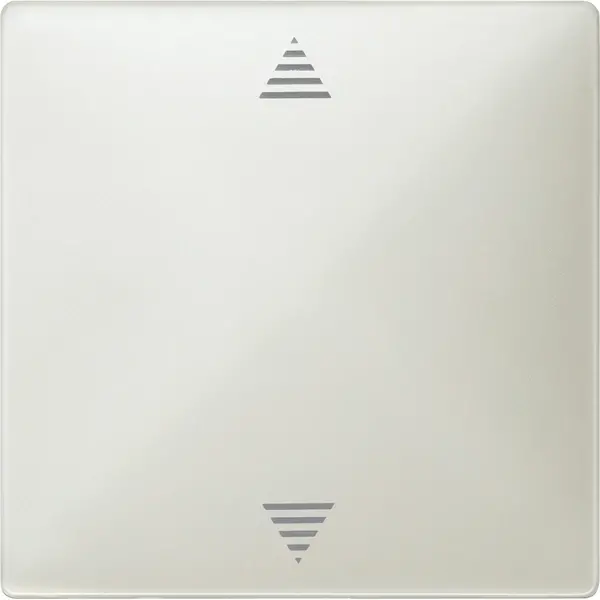 Schneider Electric - 584529 - Blind push-button with sensor connection - 1
