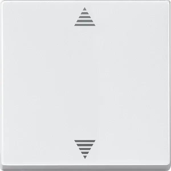 Schneider Electric - 586219 - Blind push-button - 1