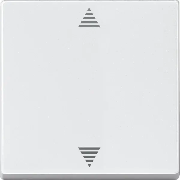 Schneider Electric - 586519 - Blind push-button with sensor connection - 1
