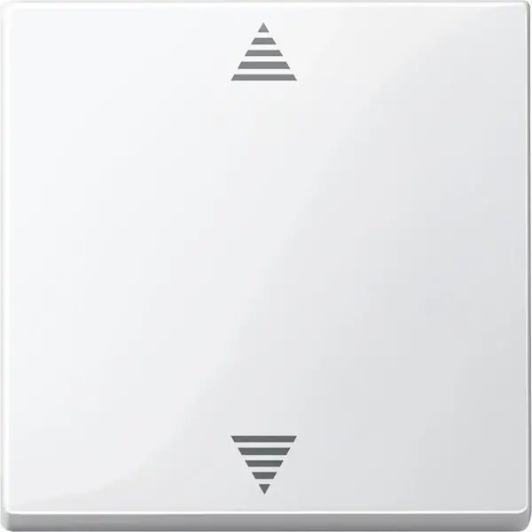 Schneider Electric - 587719 - Blind push-button, polar white, glossy, - 1