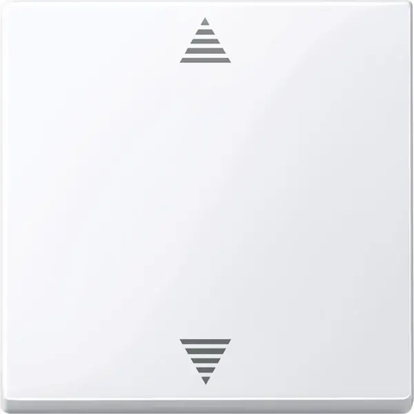 Schneider Electric - 587725 - Blind push-button, active white, glossy, - 1