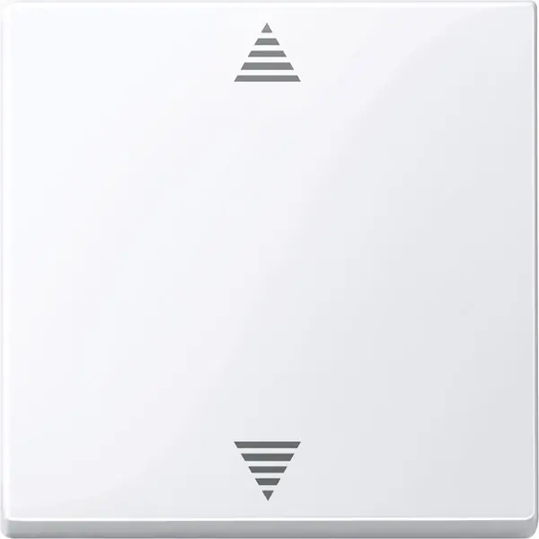 Schneider Electric - 587825 - Blind push-button with sensor connection - 1
