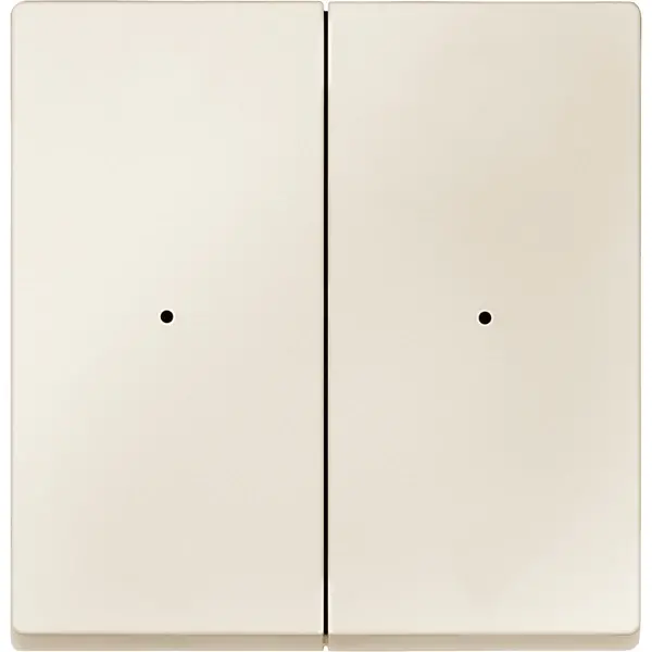 Schneider Electric - 594244 - Radio push-button 2-gang, battery-powere - 1