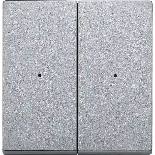 Schneider Electric - 594260 - Radio push-button 2-gang, battery-powere - 1