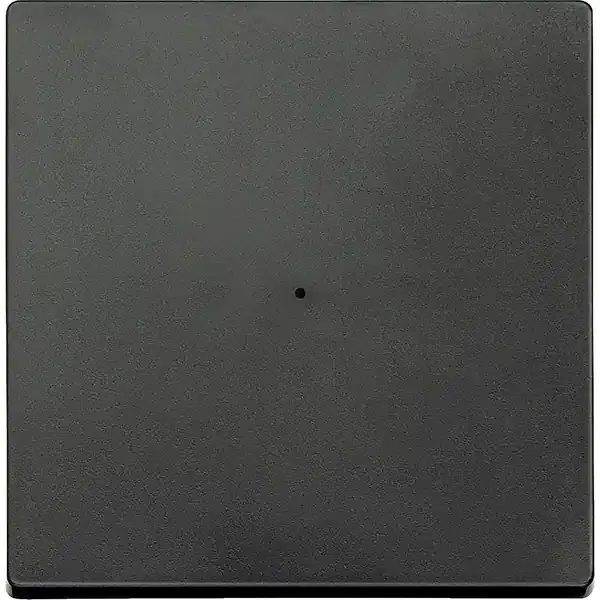 Schneider Electric - 625114 - Rocker for 1-gang push-button module - 1
