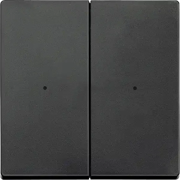 Schneider Electric - 625214 - Rockers for 2-gang push-button module - 1