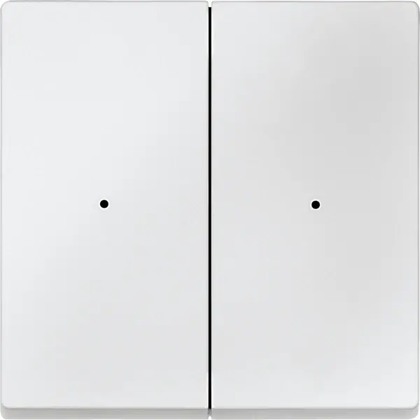 Schneider Electric - 625219 - Rockers for 2-gang push-button module - 1
