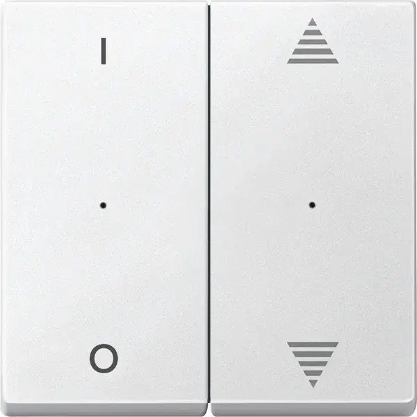 Schneider Electric - 625619 - Rockers for 2-gang push-button module wi - 1