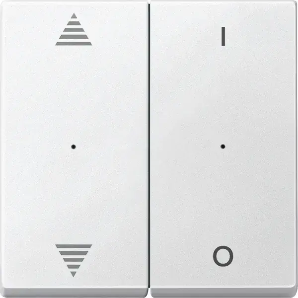 Schneider Electric - 625719 - Rockers for 2-gang push-button module wi - 1