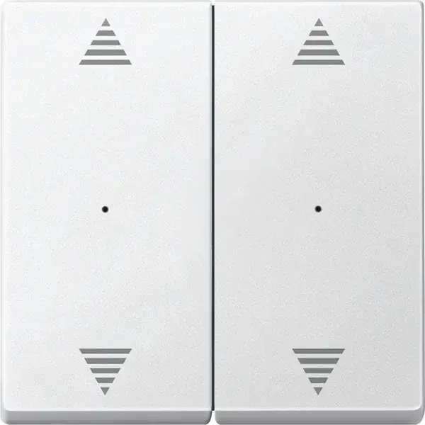 Schneider Electric - 625819 - Rockers for 2-gang push-button module wi - 1