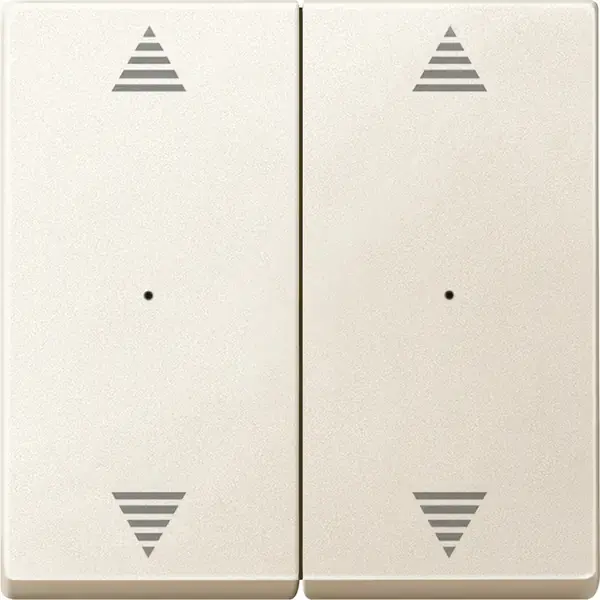 Schneider Electric - 625844 - Rockers for 2-gang push-button module wi - 1