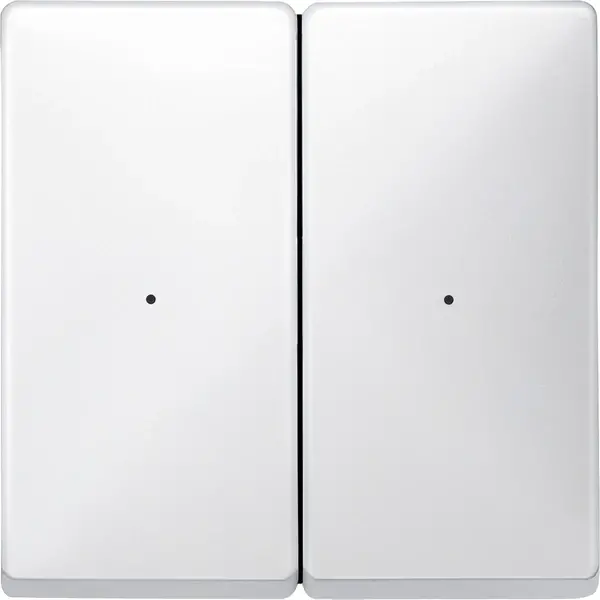 Schneider Electric - 626219 - Rockers for 2-gang push-button module - 1