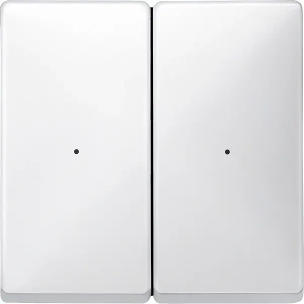 Schneider Electric - 626244 - Rockers for 2-gang push-button module - 1