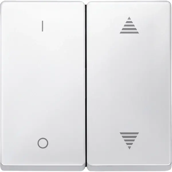 Schneider Electric - 626619 - Rockers for 2-gang push-button module wi - 1
